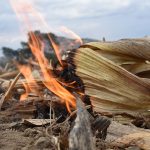 Despliegan acciones para evitar incendios forestales en Morón