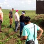 Realizan en Morón trabajo voluntario en saludo al 26 de Julio