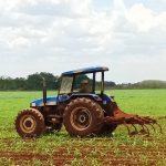 Realizan visita de seguimiento a plantaciones de la Empresa Agropecuaria Arnaldo Ramírez