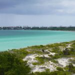 Rehabilitan vegetación en dunas más altas del Caribe insular