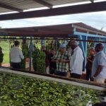 Analiza Presidente del Parlamento Cubano el fortalecimiento del programa alimentario en Ciego de Ávila (+Fotos)