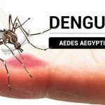 Declaran transmisión de arbovirosis en dos áreas de Salud de Ciego de Ávila