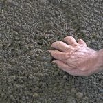 Carnes D’Tres apuesta por la agricultura circular