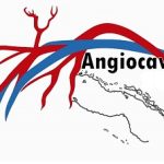 Comienza en Ciego de Ávila el evento ANGIOCAV 2026