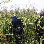 Una estrategia necesaria para la soberanía alimentaria