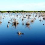 Embalses al 46 % y pozos en estado crítico en Ciego de Ávila
