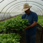 Publican en la Gaceta Oficial el nuevo Código de Trabajo y sus normas complementarias